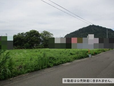 秋田県大館市 扇田駅16分 農地 30万円の国税庁公売物件 #1