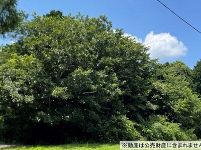 千葉県市原市 馬立駅 土地 31万円の国税庁公売物件 #1