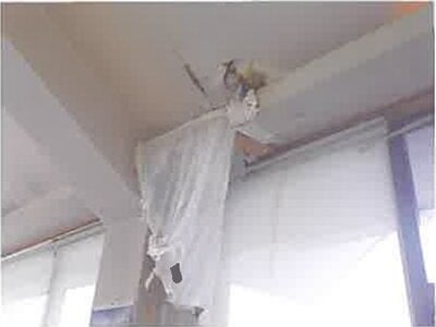 (値下げ) 埼玉県入間郡毛呂山町 毛呂駅22分 戸建て 344万円の競売物件 #5