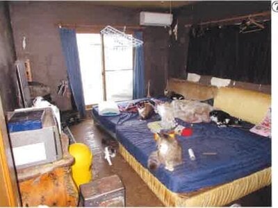 群馬県太田市 藪塚駅30分 戸建て 312万円の競売物件 #7