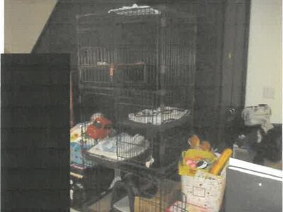 富山県中新川郡立山町 下段駅18分 戸建て 608万円の競売物件 #12