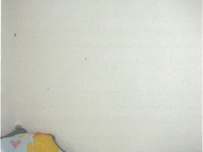 富山県中新川郡立山町 下段駅18分 戸建て 608万円の競売物件 #6