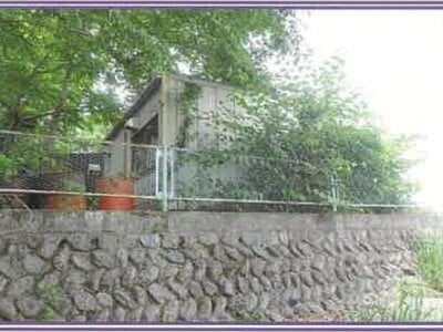 山梨県南巨摩郡身延町 波高島駅 土地 482万円の競売物件 #12