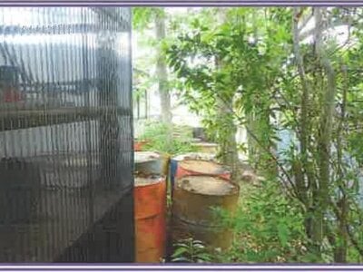 山梨県南巨摩郡身延町 波高島駅 土地 482万円の競売物件 #15