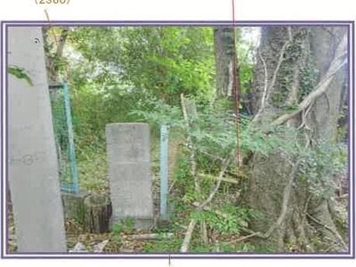 山梨県南巨摩郡身延町 波高島駅 土地 482万円の競売物件 #26