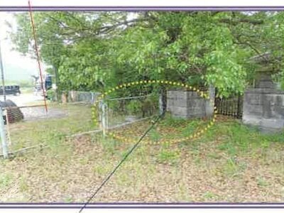 山梨県南巨摩郡身延町 波高島駅 土地 482万円の競売物件 #30