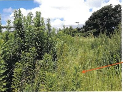 (値下げ) 宮崎県串間市 日向大束駅29分 戸建て 170万円の競売物件 #17