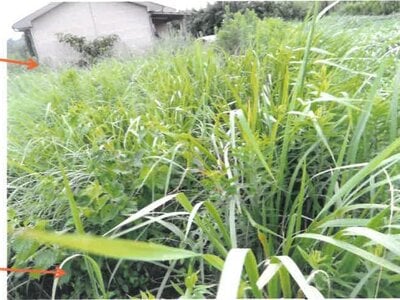 (値下げ) 宮崎県串間市 日向大束駅29分 戸建て 170万円の競売物件 #18