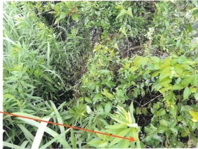 (値下げ) 宮崎県串間市 日向大束駅29分 戸建て 170万円の競売物件 #19