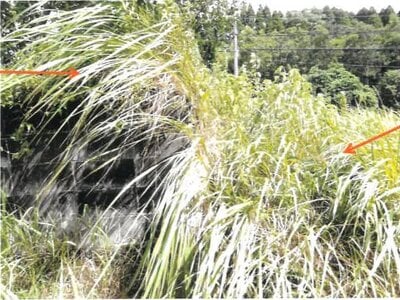 (値下げ) 宮崎県串間市 日向大束駅29分 戸建て 170万円の競売物件 #23