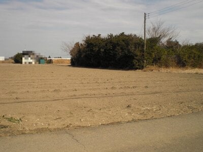 (値下げ) 茨城県古河市 栗橋駅 農地 10万円の国税庁公売物件 #1