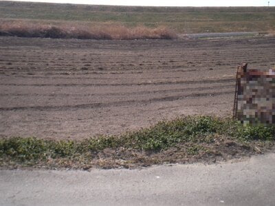 (値下げ) 茨城県古河市 栗橋駅 農地 10万円の国税庁公売物件 #2