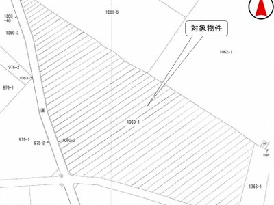 茨城県土浦市 神立駅24分 土地 126万円の国税庁公売物件 #3