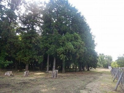 神奈川県相模原市中央区 淵野辺駅15分 土地 9億300万円の国有財産物件 #3