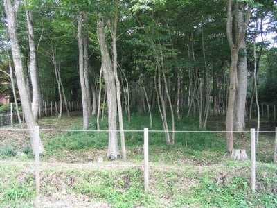 神奈川県足柄下郡箱根町 早雲山駅 土地 788万円の国有財産物件 #2