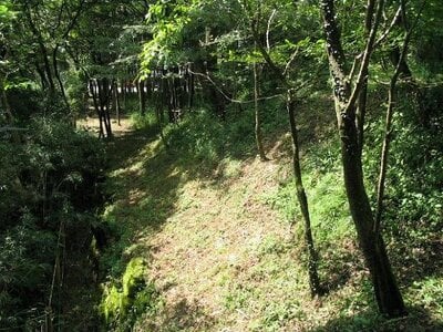 神奈川県足柄下郡箱根町 早雲山駅 土地 788万円の国有財産物件 #3