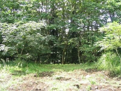 神奈川県足柄下郡箱根町 早雲山駅 土地 788万円の国有財産物件 #4