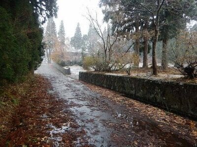 新潟県妙高市 妙高高原駅 土地 3,620万円の国有財産物件 #2