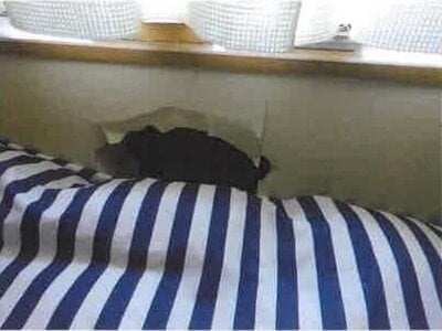 千葉県市川市 京成中山駅15分 戸建て 3,517万円の競売物件 #7