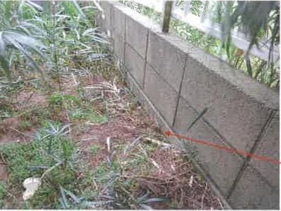 千葉県山武郡横芝光町 横芝駅 戸建て 240万円の競売物件 #3