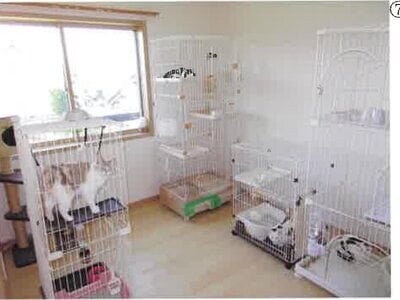 群馬県伊勢崎市 世良田駅14分 戸建て 1,386万円の競売物件 #8