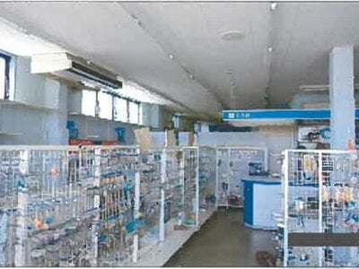 山口県長門市 仙崎駅8分 戸建て 702万円の競売物件 #8