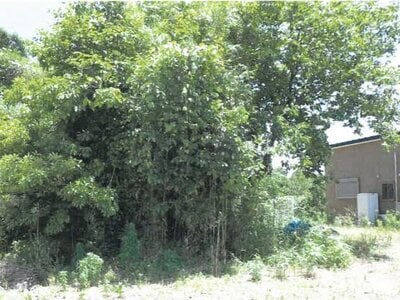 (値下げ) 鹿児島県志布志市 志布志駅 戸建て 522万円の競売物件 #30