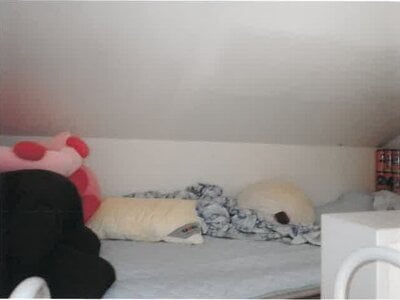 神奈川県横浜市青葉区 恩田駅7分 戸建て 2,152万円の競売物件 #6