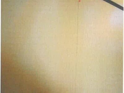 奈良県橿原市 耳成駅13分 戸建て 482万円の競売物件 #10