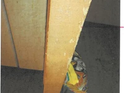 奈良県橿原市 耳成駅13分 戸建て 482万円の競売物件 #6