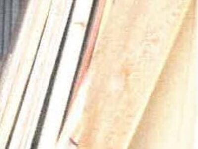 (値下げ) 和歌山県日高郡美浜町 紀伊御坊駅16分 戸建て 1,433万円の競売物件 #19