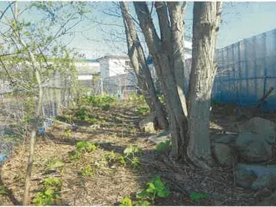 北海道小樽市 銭函駅26分 土地 759万円の競売物件 #13