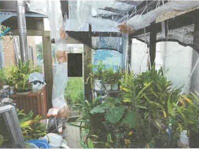 北海道留萌市 戸建て 2,854万円の競売物件 #23