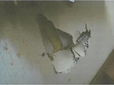 北海道旭川市 神楽岡駅10分 戸建て 607万円の競売物件 #19