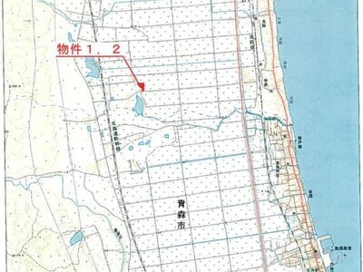 青森県東津軽郡蓬田村 中沢駅21分 農地 33万円の競売物件 #5