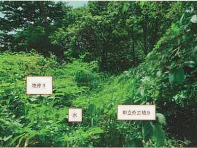 山梨県北杜市 清里駅6分 戸建て 194万円の競売物件 #7