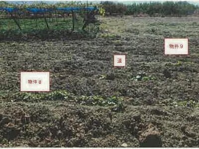 山梨県笛吹市 山梨市駅 農地 84万円の競売物件 #11