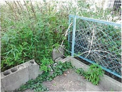 和歌山県海南市 海南駅18分 土地 1,320万円の競売物件 #7