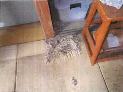 和歌山県和歌山市 八幡前駅7分 戸建て 1,001万円の競売物件 #30