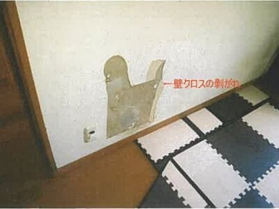 和歌山県和歌山市 紀ノ川駅27分 戸建て 294万円の競売物件 #9