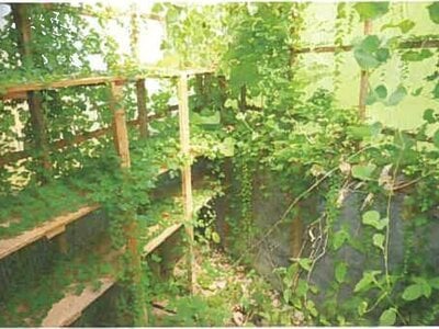 和歌山県和歌山市 六十谷駅13分 戸建て 367万円の競売物件 #9