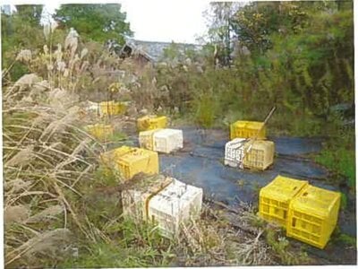 (値下げ) 和歌山県紀の川市 貴志駅16分 戸建て 118万円の競売物件 #24