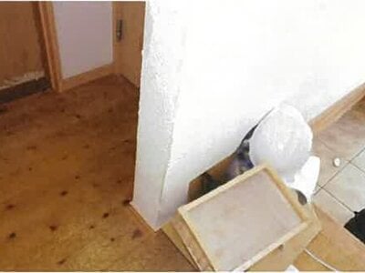 島根県出雲市 直江駅27分 戸建て 806万円の競売物件 #6