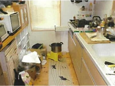 島根県出雲市 直江駅27分 戸建て 806万円の競売物件 #8