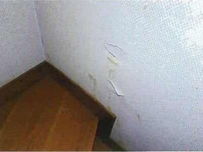 島根県松江市 玉造温泉駅10分 戸建て 496万円の競売物件 #19