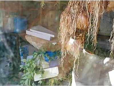 島根県出雲市 旅伏駅1分 戸建て 546万円の競売物件 #6