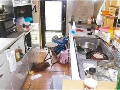 島根県松江市 揖屋駅12分 戸建て 711万円の競売物件 #9