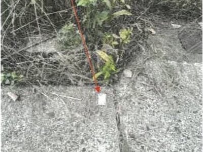 香川県善通寺市 善通寺駅13分 土地 159万円の競売物件 #4