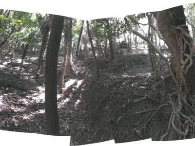 (値下げ) 香川県小豆郡土庄町 土地 6万円の競売物件 #3