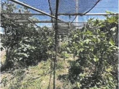 (値下げ) 香川県綾歌郡宇多津町 宇多津駅24分 土地 185万円の競売物件 #9